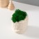 Kashpo Concrete "Snake Basket" with moss 7x6x7 cm white (moss green stabil)