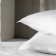 Pillowcase SL Home Tencel 70*70+3 cm, col. white