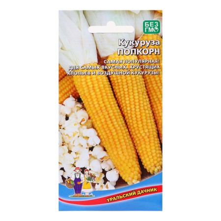Corn seeds "Popcorn", 5 g