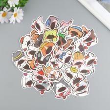 Stickers plastic 