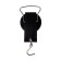 Bezmen Luazon, mechanical, up to 22 kg, division price 250 g, black