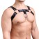 BDSM Podsm Oki, male, on the chest, with belts, eco-leather, sizes OS, black
