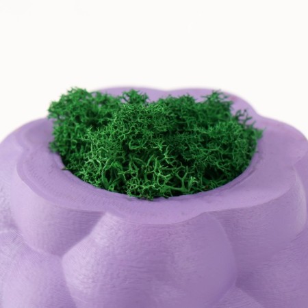 Concrete Kashpo "Bubbles" with moss purple 8x8x5cm (moss green stabilized)-3