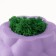 Concrete Kashpo "Bubbles" with moss purple 8x8x5cm (moss green stabilized)