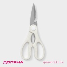 Scissors kitchen shares 