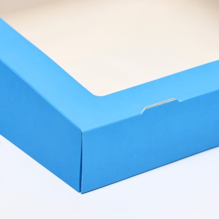 Removal container, blue, 20 x 20 x 4 cm-2