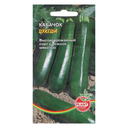Semen zucchini "Tsukesh", 6 pcs.