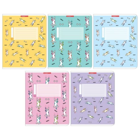 Notebook 12 sheets in the Cotopa Cera, cover Cross Cardboard, VD-LK, Block 60 g/m2, 5 types, mix