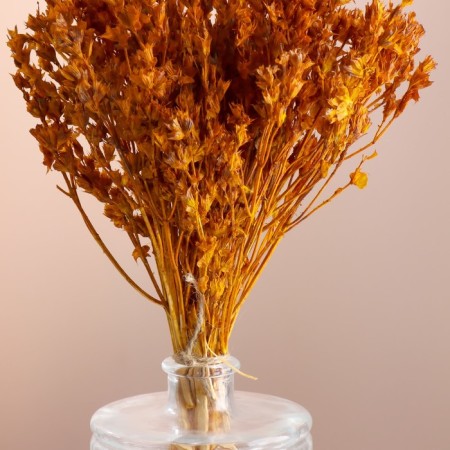 Set of dried flowers "chandra", banch length 40 (+/- 6 cm), mustard-1