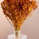 Set of dried flowers "chandra", banch length 40 (+/- 6 cm), mustard