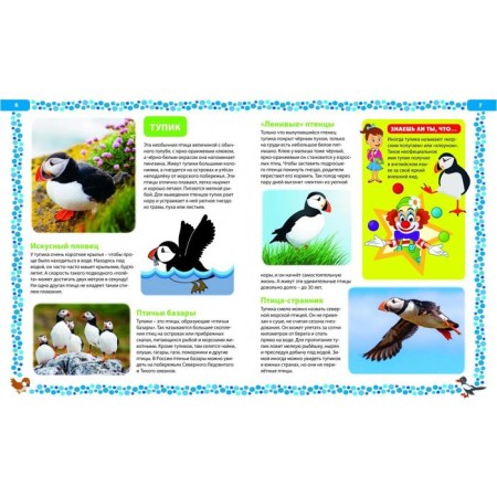 Big book about birds. Illustrated encyclopedia-1
