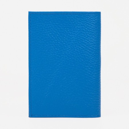 Cover for passport, blue color-1