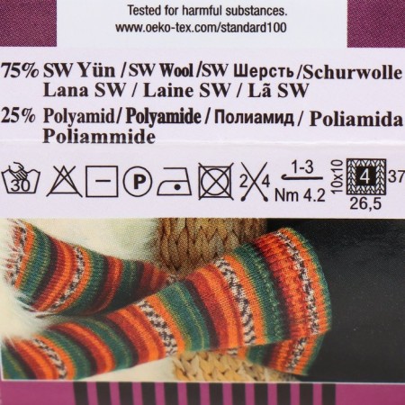 Yarn "Superwash Comfort Socks" 75% wool, 25% polyamide 420m/100g (2698)-3