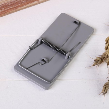 Mousetrap, 12 × 6 cm, plastic-3