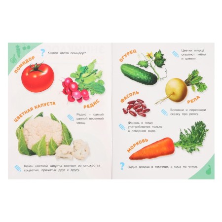 Encyclopedia for the smallest "vegetables, fruits, berries"-3