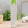 Body gel-balsam "Sabbath" with mummy, 125 ml