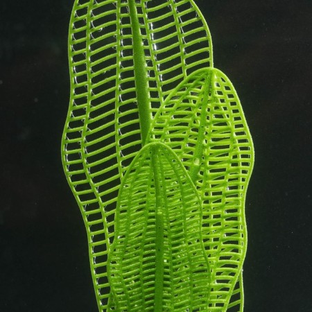 Silicone Aquarium plant, glowing in the dark, 6 x 19 cm, green-2