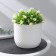 Kashpo with an insert “clover”, 3.2 l, d = 17.5 cm, h = 16 cm, white color