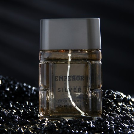 Emperor Siver toilet water, 100 ml (based on Egoiste Platinum (Chanel)-1