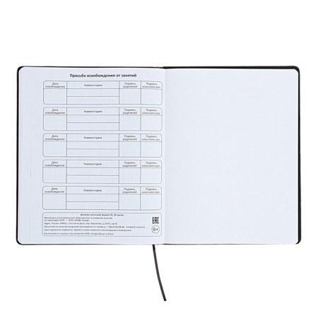 The universal diary for the 1-11 classes "Anime", a solid cover made of artificial leather, application, lies, 48 ​​sheets, black-14