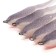 Foamen fish yaman devious minnow on a double, 105 mm, color 18 UV, 5 pcs.