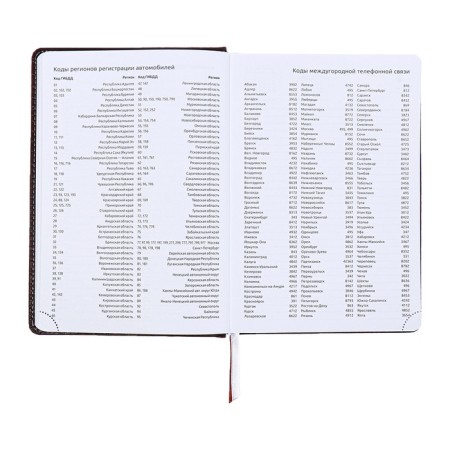 Dated diary 2024, A5, 176 sheets, Attomex.croco, Cover Artificial Leather, Lasse, Blok 70 g/m2, brown-9