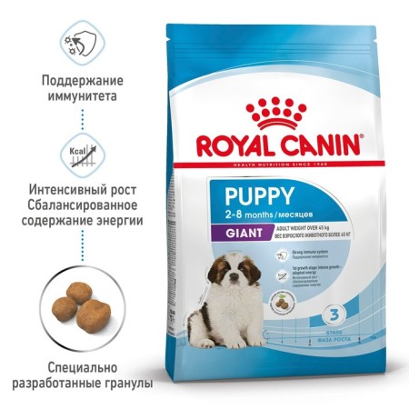 Dry food RC Giant Puppy 2-8 months, 3.5 kg-1