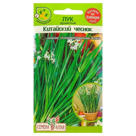 Fragrant onions "Chinese garlic", CP, 0.5 g-2