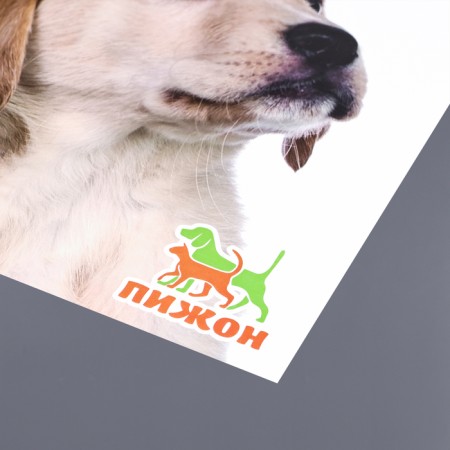 Коврик под миску "Пижон" 43 х 28 см"Мне сосиска, тебе игрушка!"-3