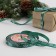 Satin tape "Snowflakes", 10 mm, 23 ± 1 m, green color No. 56