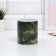 Homeleon mug ceramic "Honor and dignity", 300 ml, green color