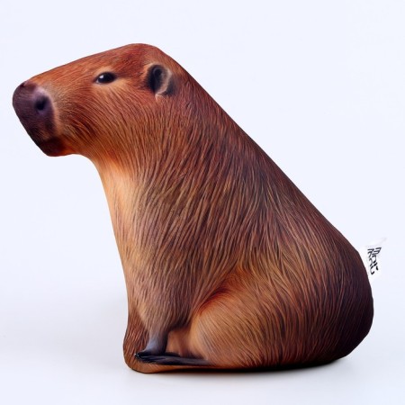 Antistress toy "Capybara"-2