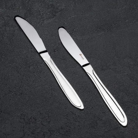 Table Knife "Beagge", length = 20 cm, thickness = 2 mm, silver color-4