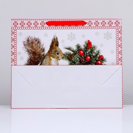 Laminated horizontal "Squirrel!" Packet, 49 x 40 x 19 cm-3