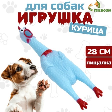 The squeak of "thoughtful chicken" for dogs, 28 cm, blue