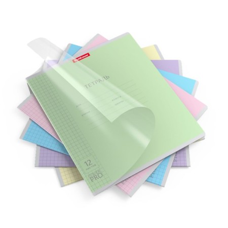Notebook 12 sheet in the Erichkrause Coverprio Neon Classica, plastic cover, OFSET BOLK, 100%whiteness, mix