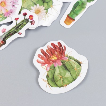 Stickers for creativity "Cacti and animals" set of 46 pcs 4.4x4.4x1.1 cm-1