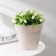 Kashpo for flowers with an insert "Porto", 2.4 liters, pearl color