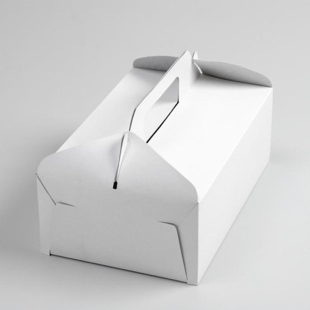 Removal box, white, 25 x 16 x 9 cm-1