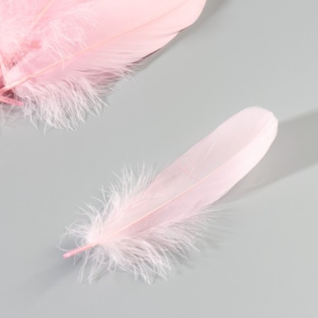 A set of feathers of the goose 13-18 cm, 20 pcs, light pink-3