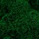 Stabilized moss "spruce" 45 grams (+-5 gr)