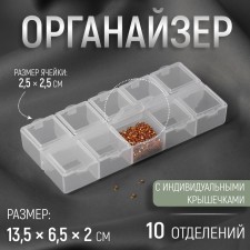 Organizer for decor, 10 departments, 13.5 × 6.5 × 2 cm, transparent color