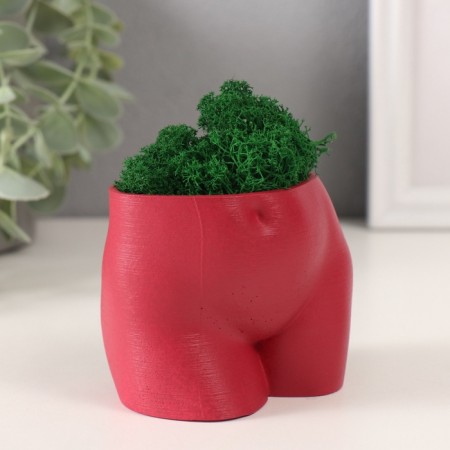 Concrete Kashpo "innocent view" height 6.5 cm, width 8.5 cm wine with moss (moss green. Stabiliz 1041207-1