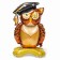 Foil ball 35 "Wise owl" on a stand, under the air