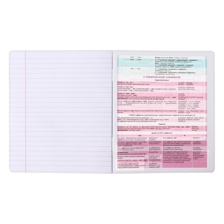 Subject notebook, 48 sheets, ruler, Russian language Erichkrause "Persons", plastic cover silk-screen covers, Bloc Offset 100%, information block-8