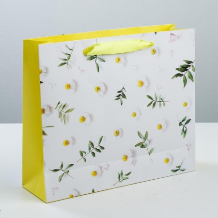Package Gift Laminated Horizontal, Packaging, Flower Happiness, ML 27 x 23 x 11.5 cm-1
