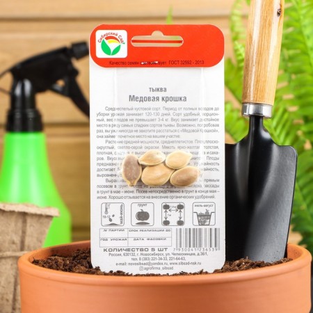 Seeds of pumpkin "Honey crumb", 5 pcs-1