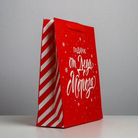 Package Laminated Vertical “Gift from Santa Claus”, M 26 x 30 x 9 cm, New Year-2