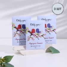 Аромасаше "Only you", набор 3 шт, морозная вишня, вес 7 г, размер 7х10,5 см