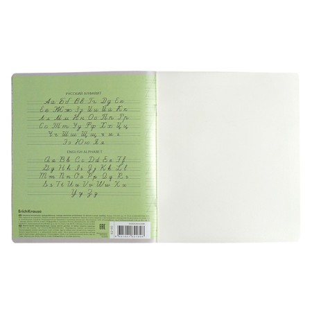 Notebook of 12 sheets in the slanting line of Erichkrause "Coverpro classics" with a plastic cover green,-4